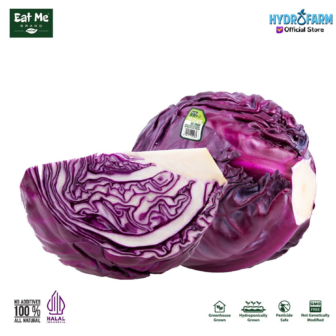 ALL STAR FOOD TEXTILE HI PURPLE CABBAGE