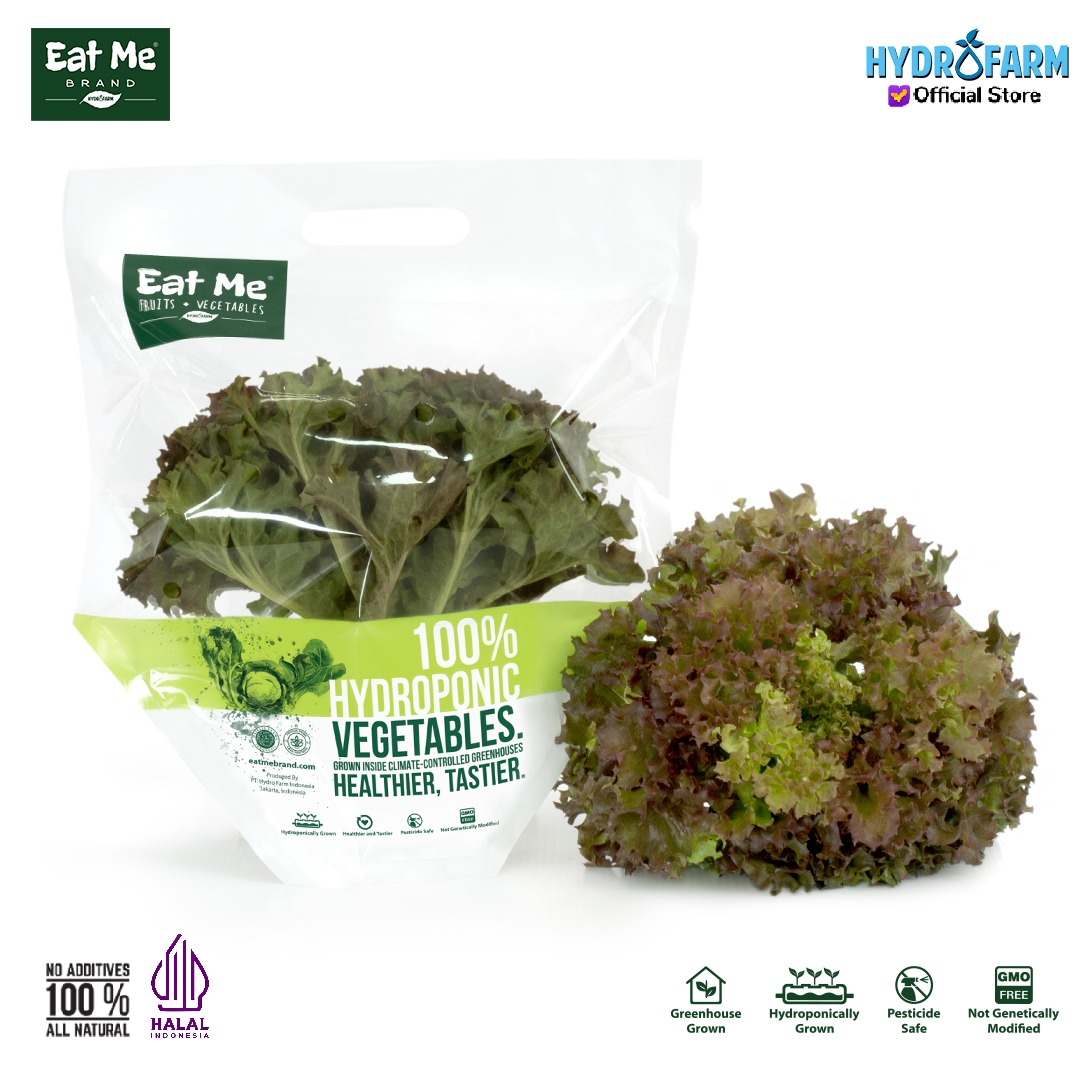 Sayur Selada Merah Red Lollorossa Lettuce Hidroponik - Eat Me Brand