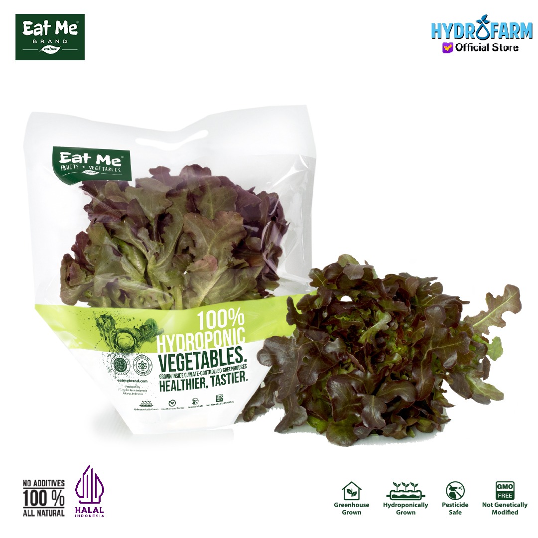 Sayur Selada Red Oakleaf/Red Oakleaf Lettuce Hidroponik - Eat Me Brand