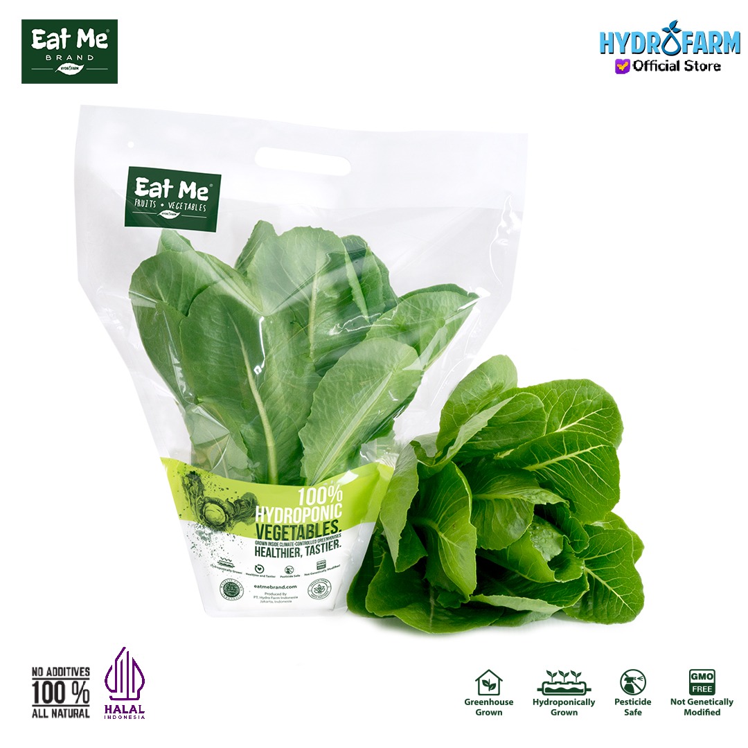 Sayur Selada Romaine Lettuce Hidroponik - Eat Me Brand