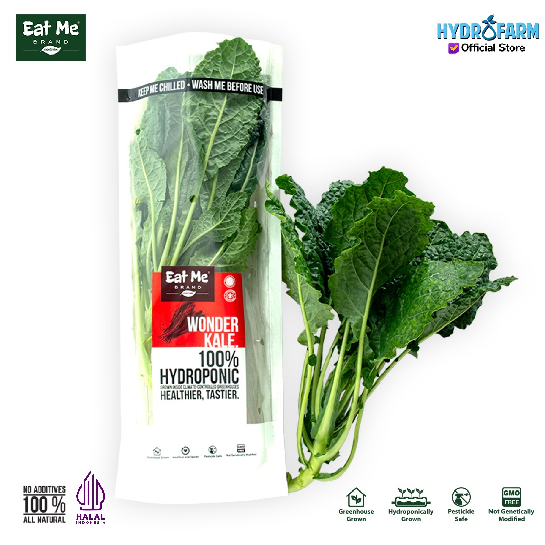 Sayur Wonder Kale Nero Hidroponik - Eat Me Brand