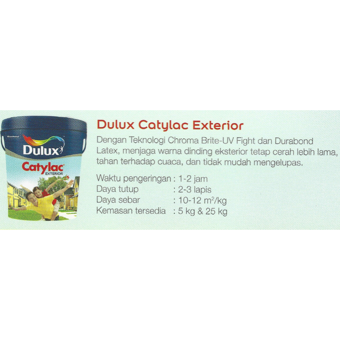 Dulux Catylac Exterior (White) tinting