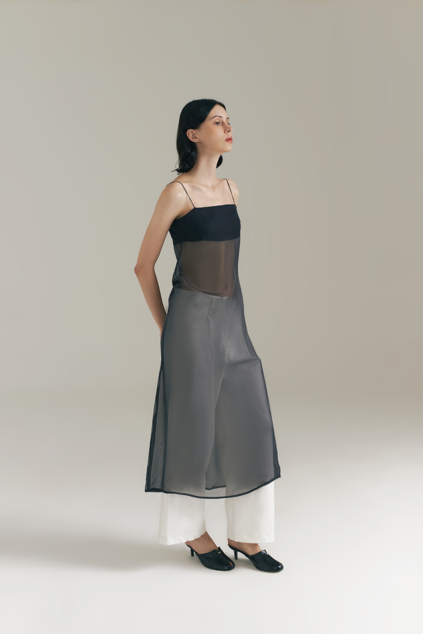 Isole Sheer Dress