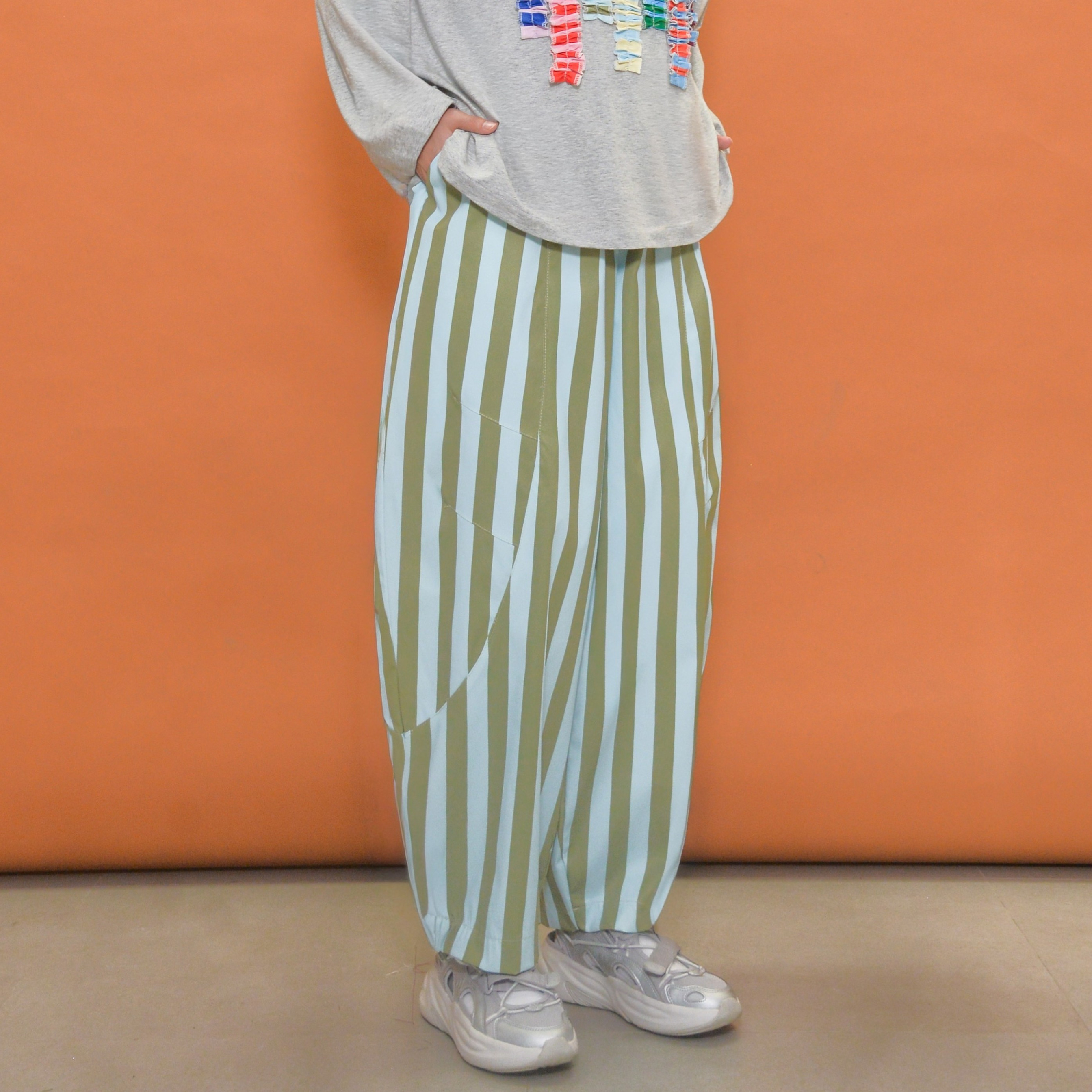 Barrel Printed Stripe Pants Olivia