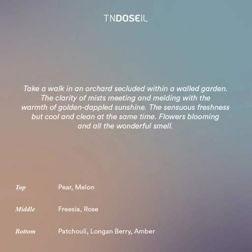 Image of TNDOSEIL - Sea Salt Mellow | Eau de Parfum