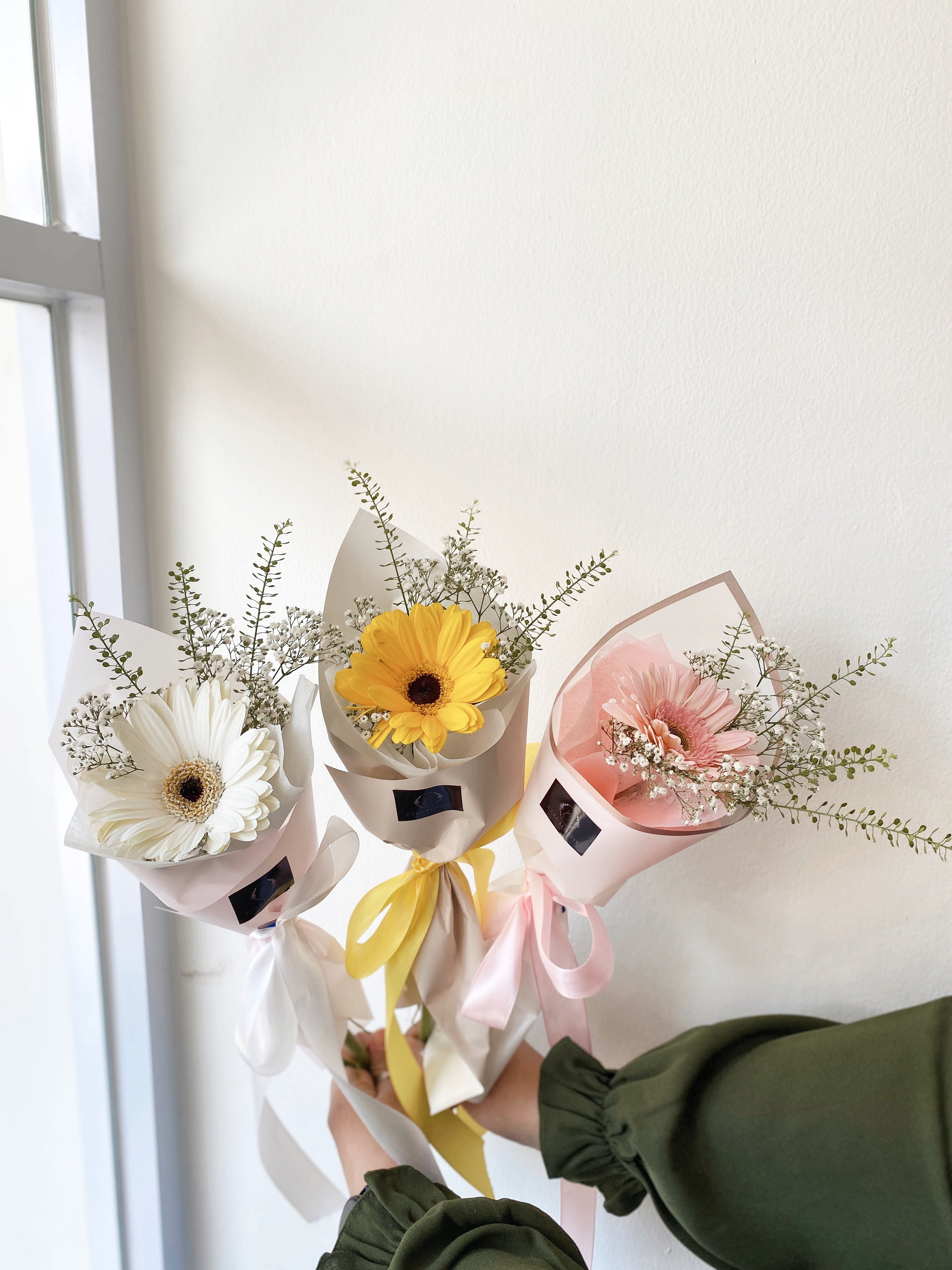 Korean Single Gerbera