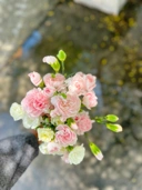Local Carnation