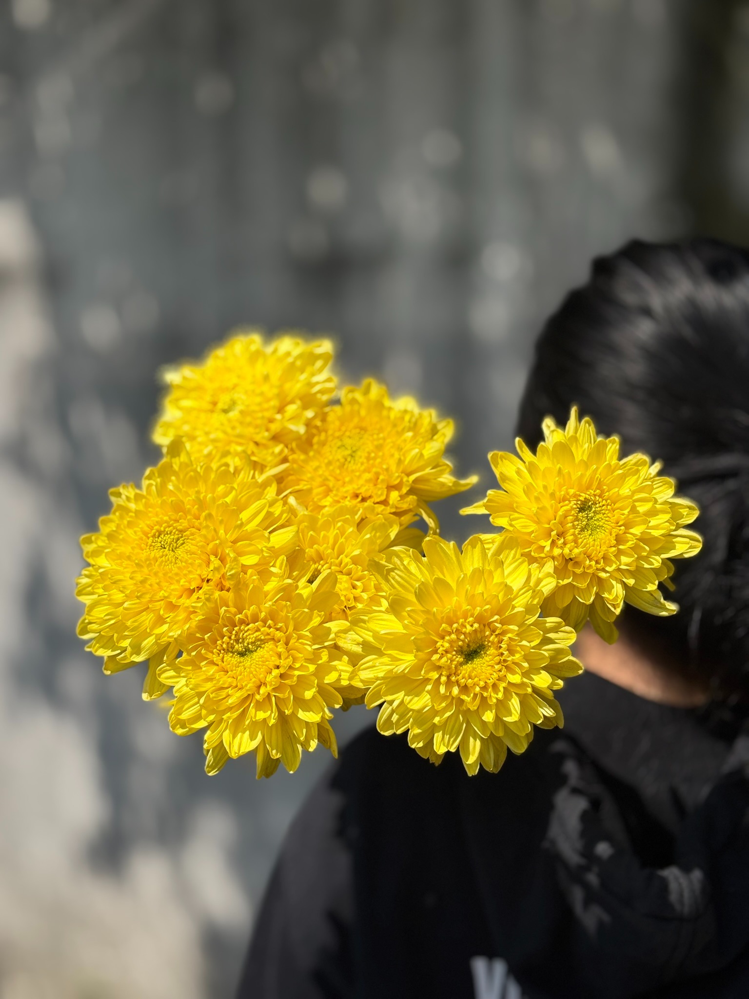 Chrysant