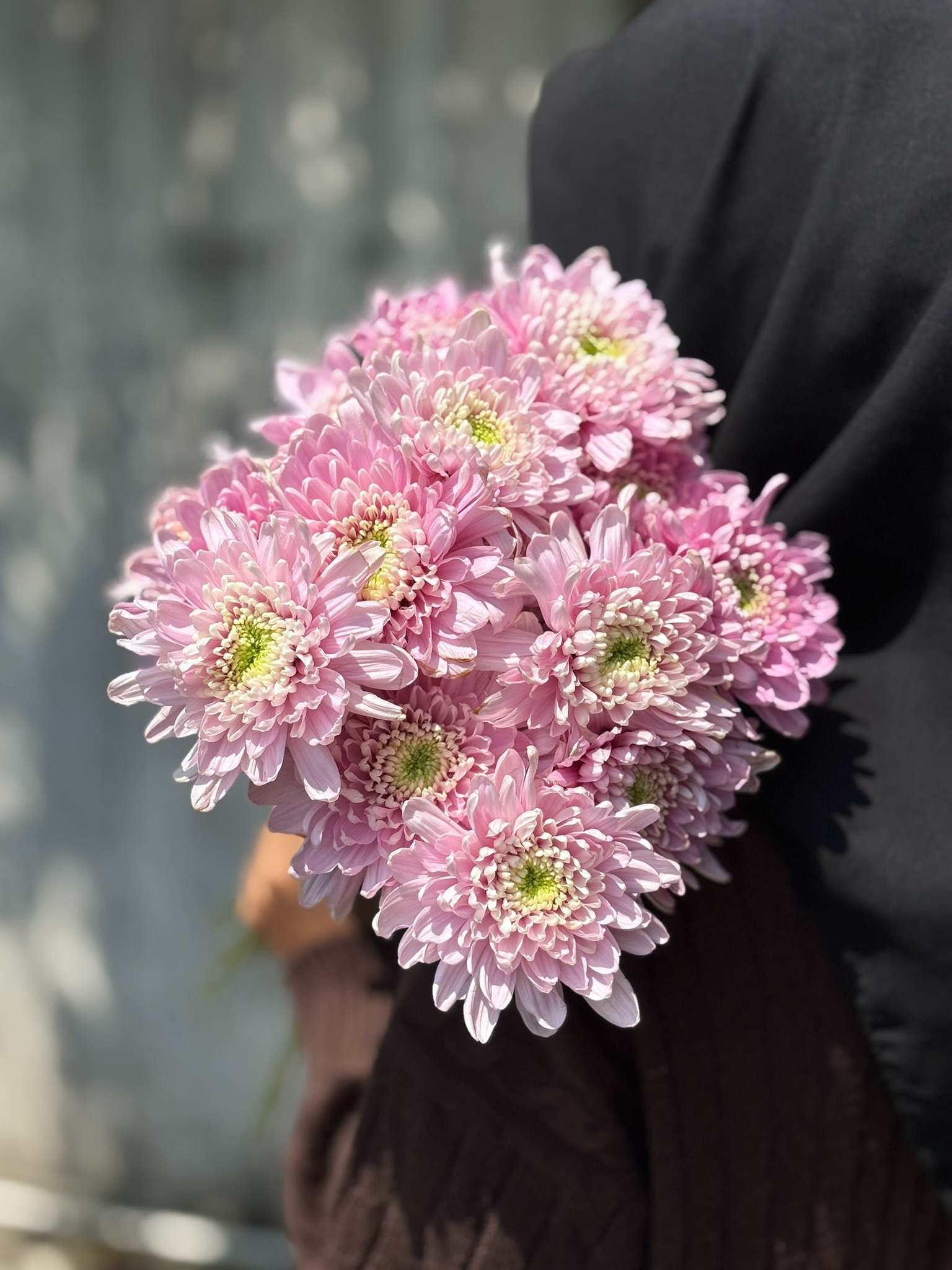 Chrysant
