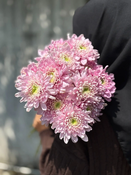 Image of Chrysant
