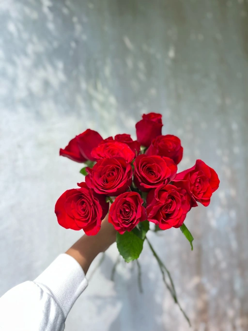 Image of Semi Holland Rose