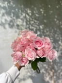Semi Holland Rose