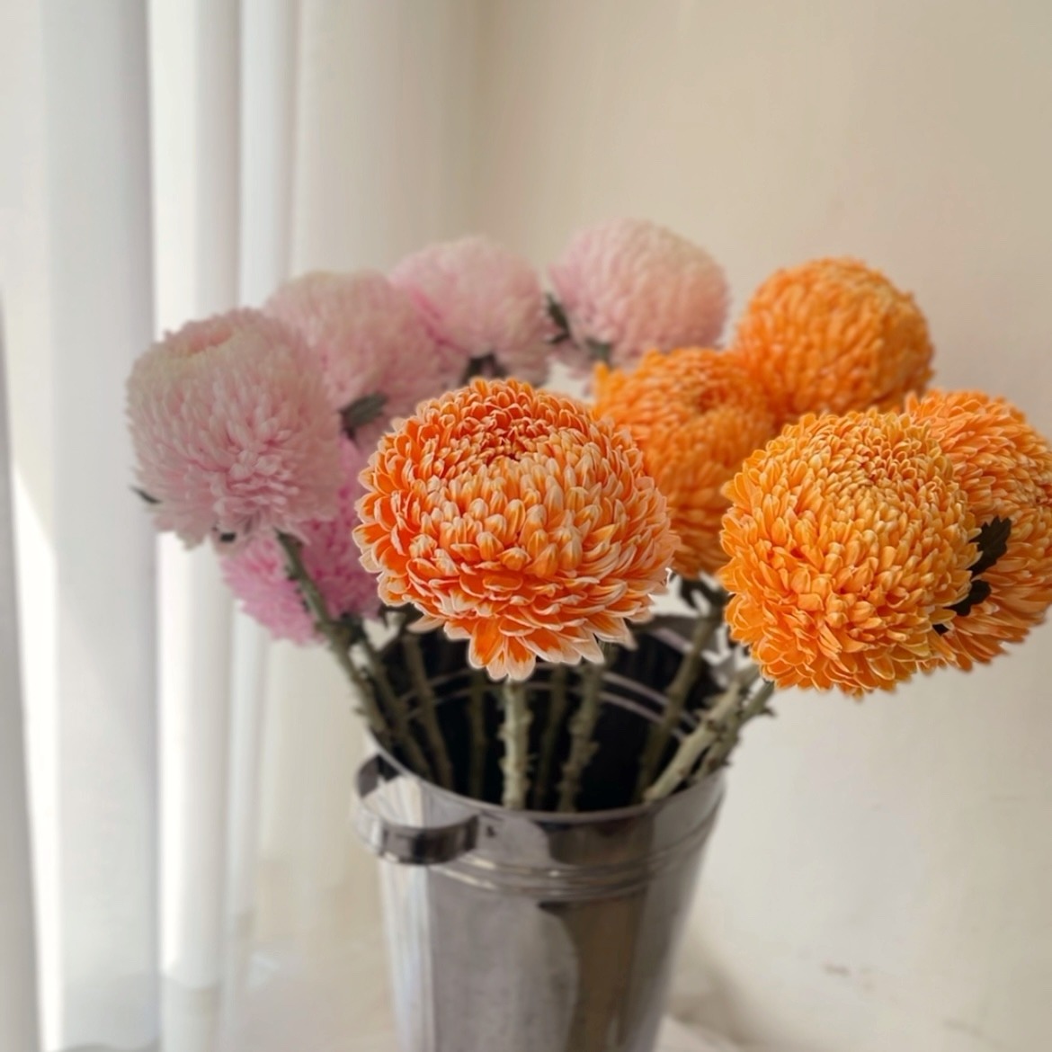 Peony Mum