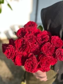 Garden Rose - Mayra
