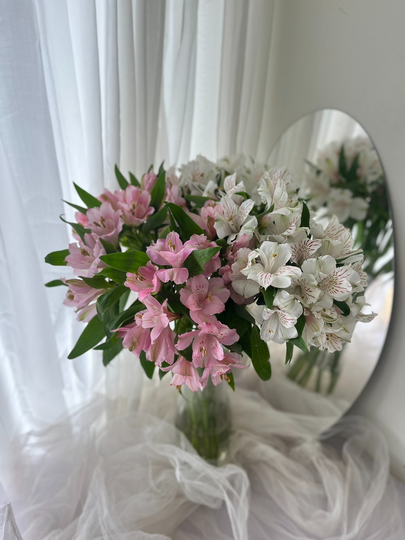 Alstroemeria