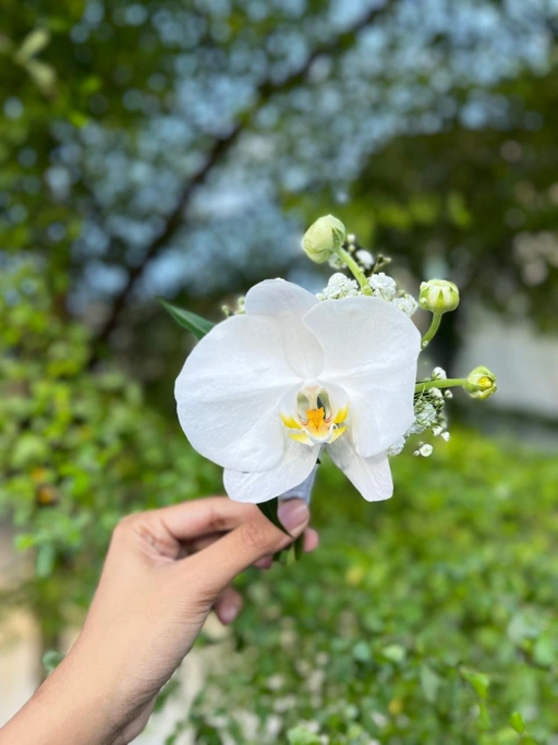 Image of Moon Orchid Corsage Groom
