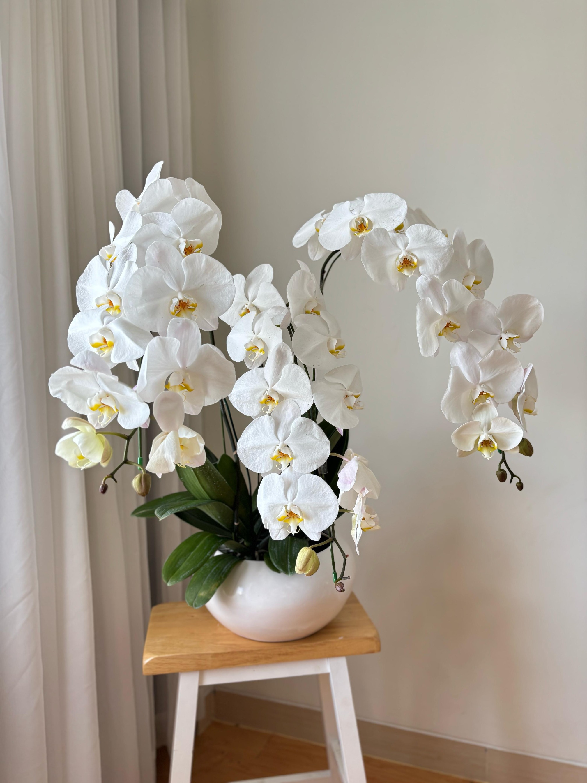 Nabeela Moon Orchid Vase