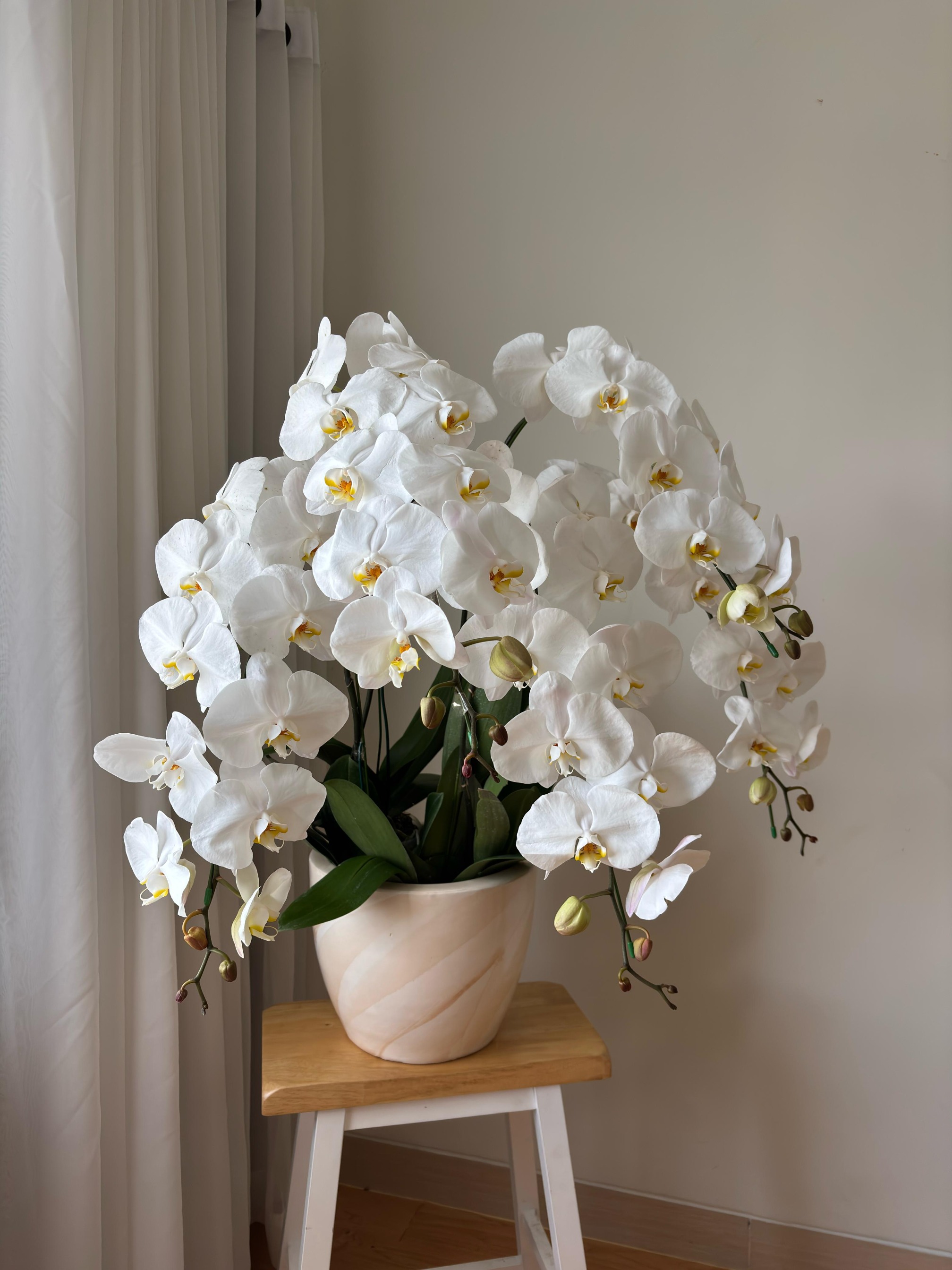 Layla Moon Orchid Vase