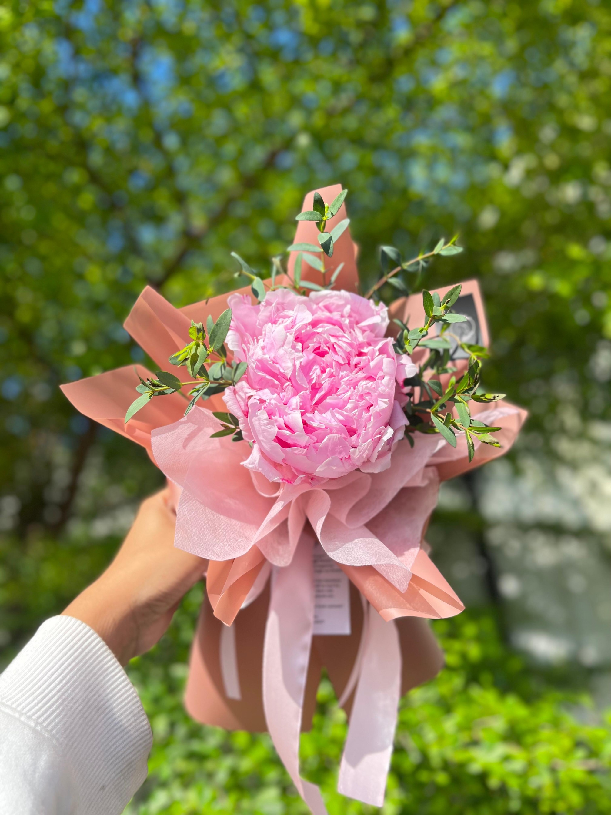 Single Peony 