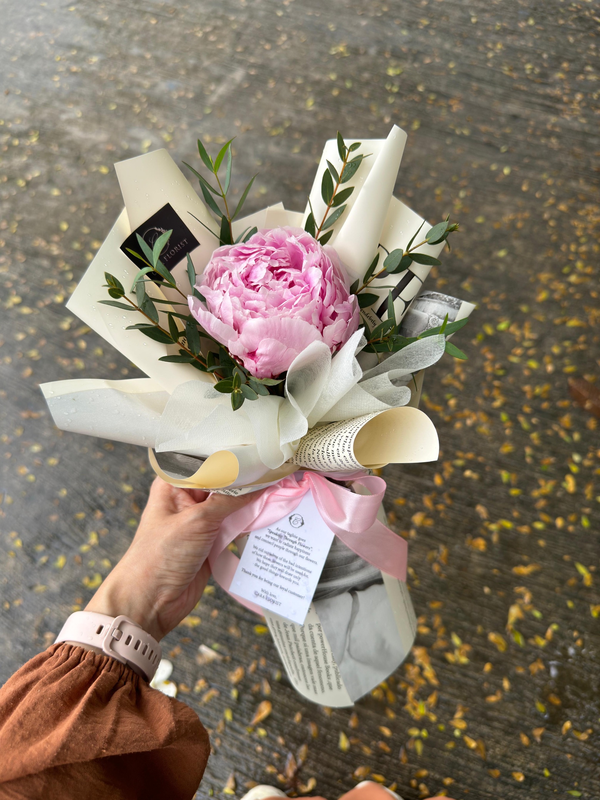 Single Peony 