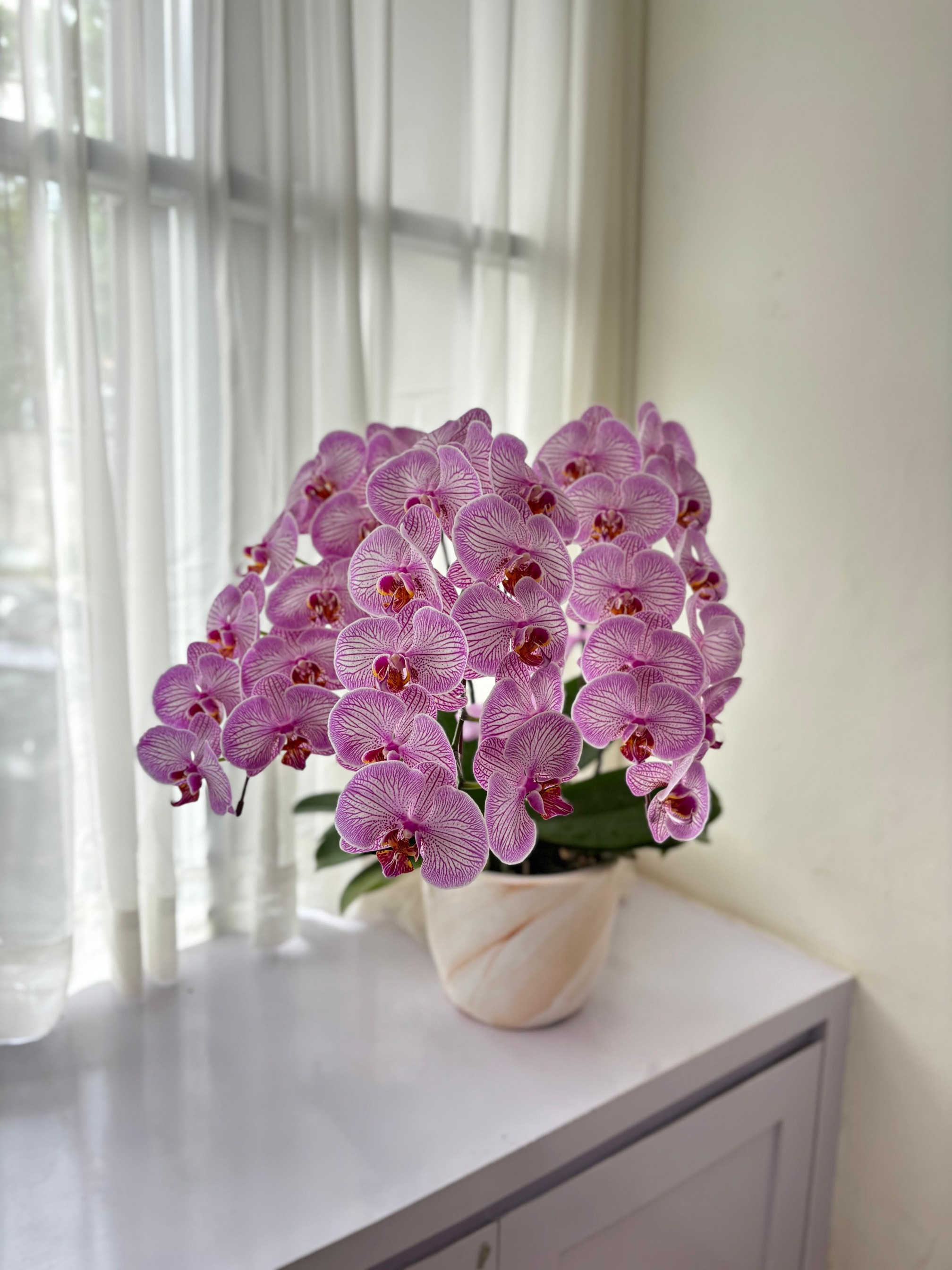 Nabeela Moon Orchid Vase