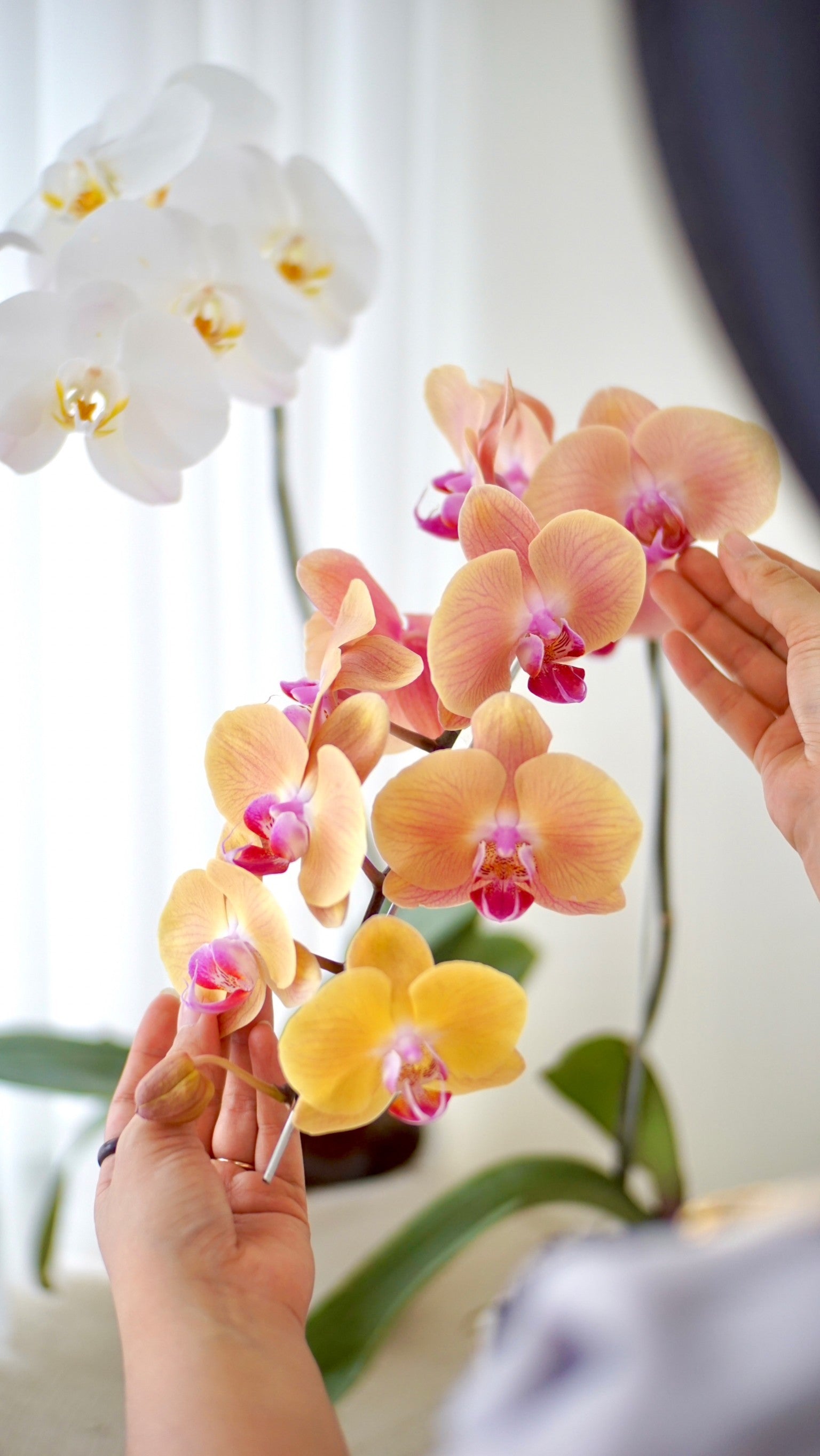 Kara Premium Moon Orchid Vase