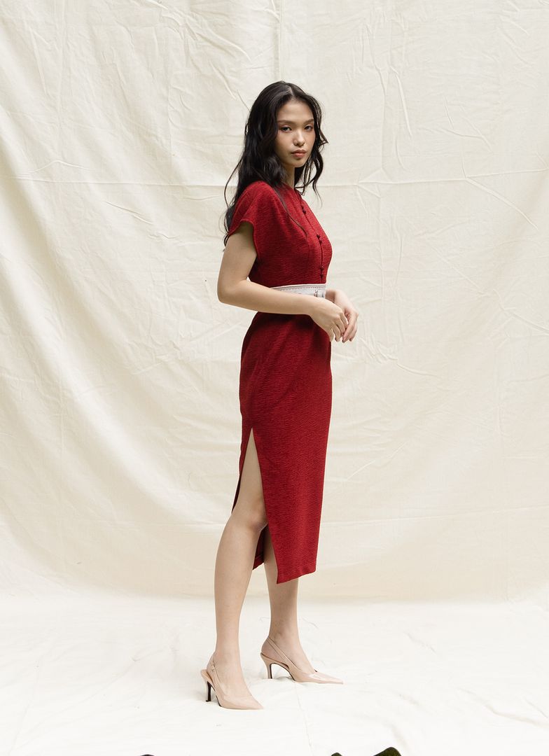 Carmine Dress in Maroon (XS only)