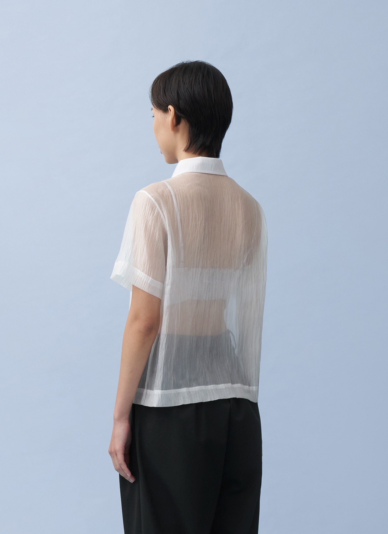Lumine Sheer Shirt