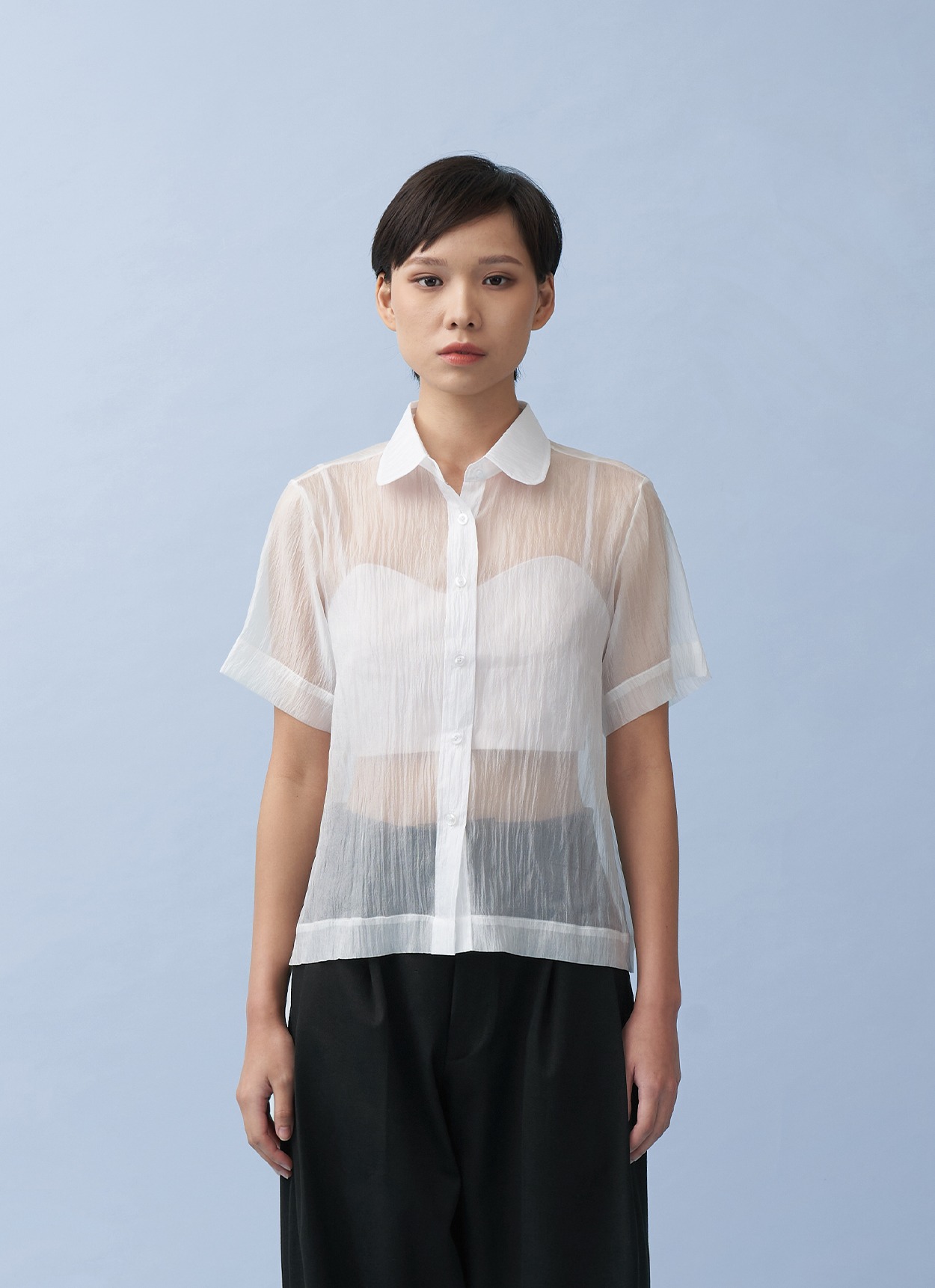 Lumine Sheer Shirt