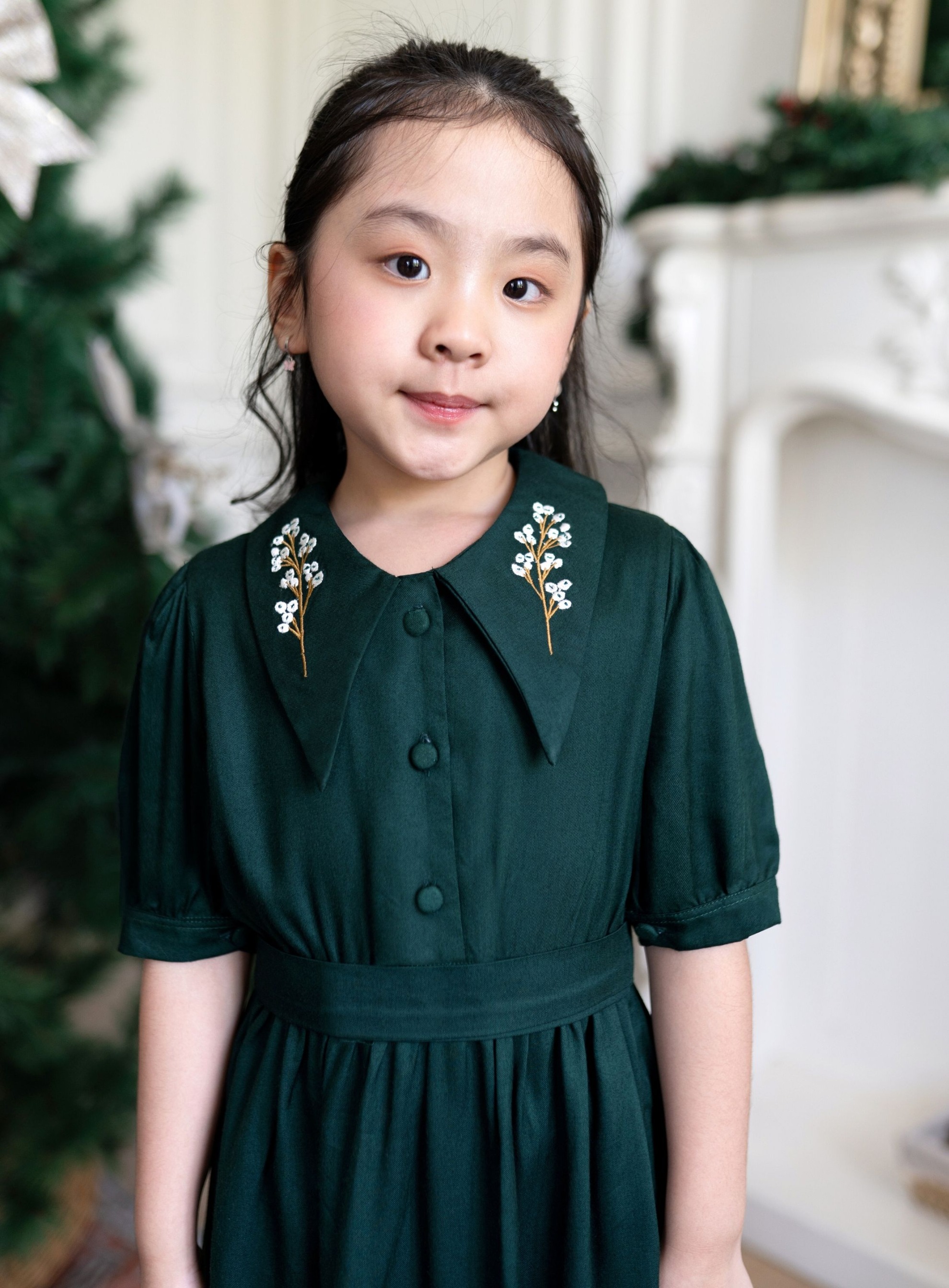 Madisson Collar Dress