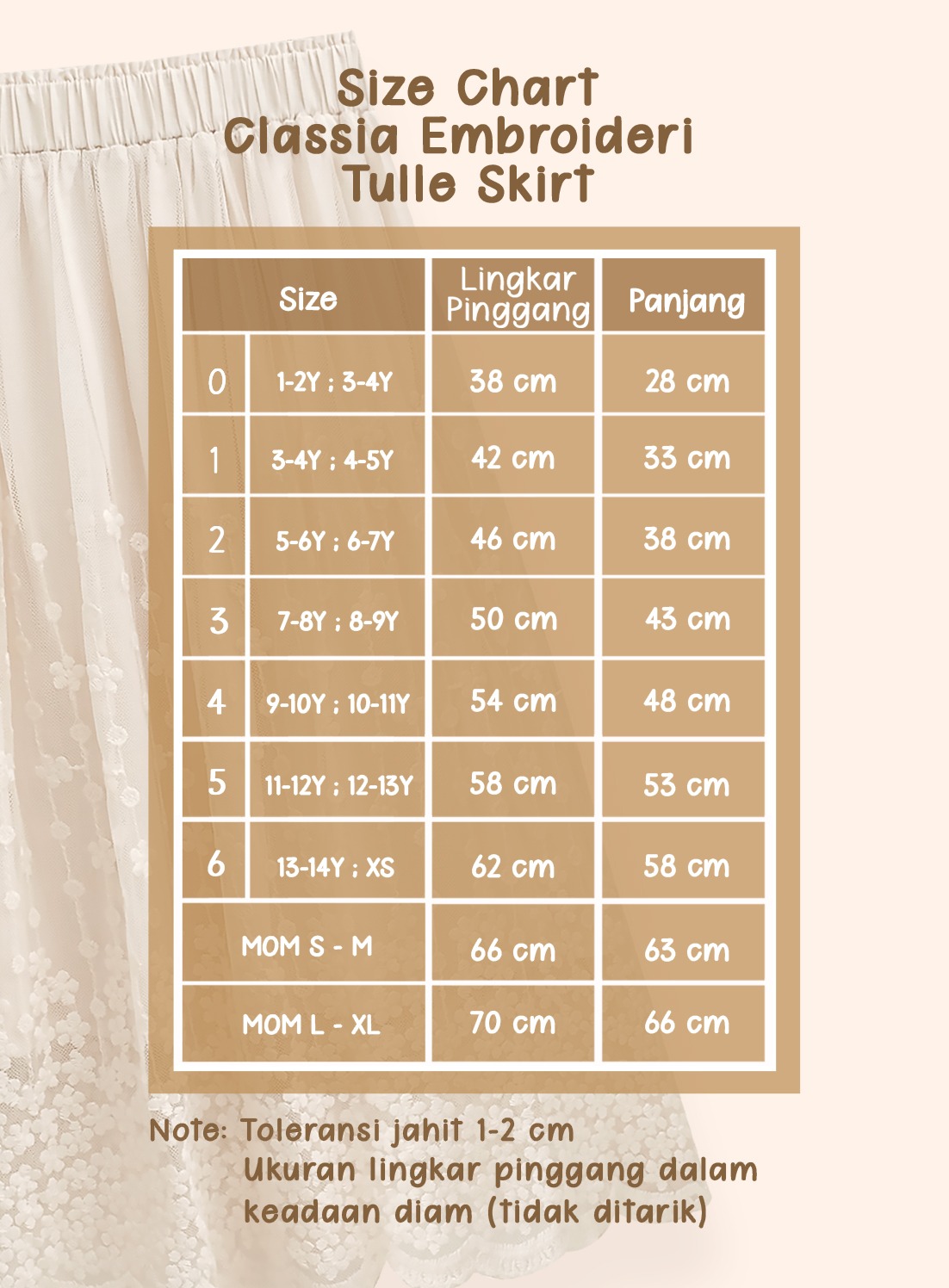 Classia Embroidery Tulle Skirt 