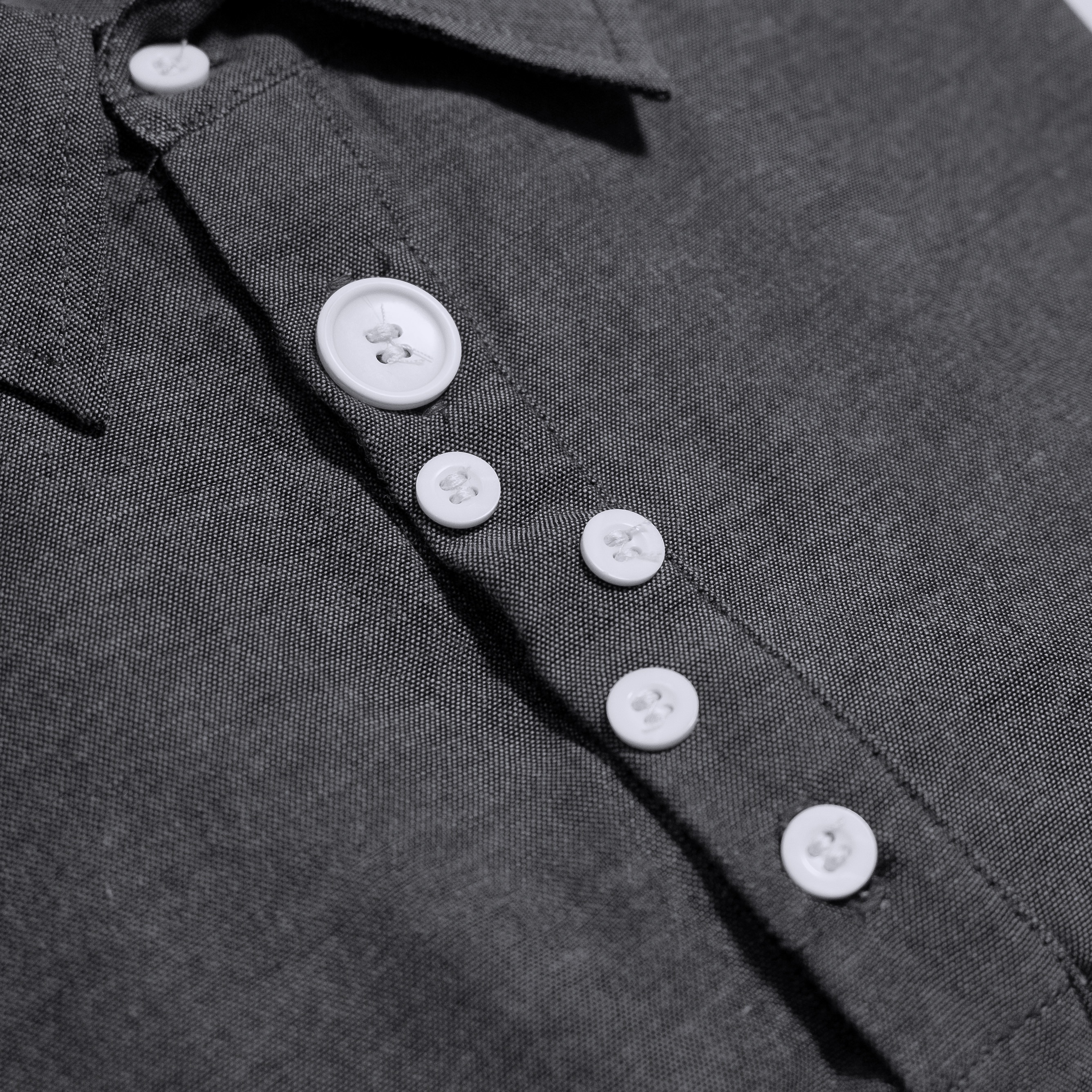 Rayora - Collared Tee ( Grey )
