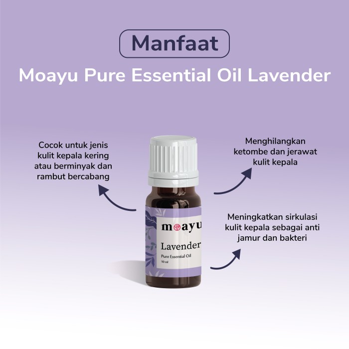 MOAYU Pure Essential Oil Lavender 10 ml, Aromaterapi, Pengharum Ruangan, Pembersih Udara & Tambahan Hair Treatment