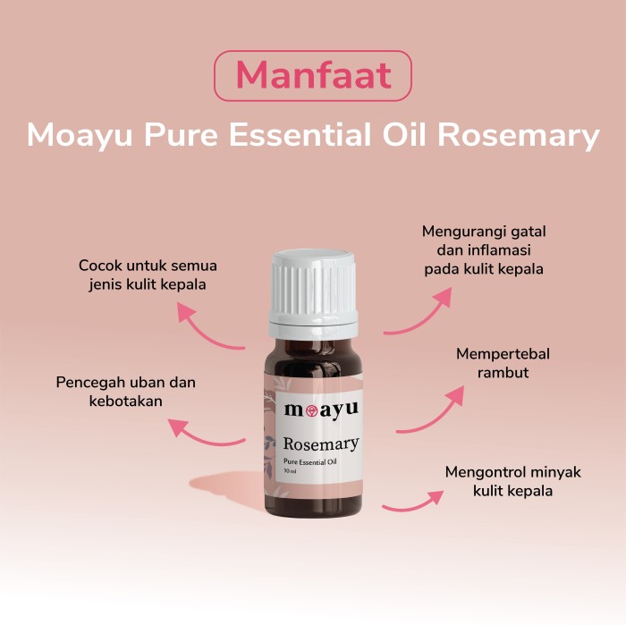 MOAYU Pure Essential Oil Rosemary 10 ml, Aromaterapi, Pengharum Ruangan, Pembersih Udara & Tambahan Hair Treatment