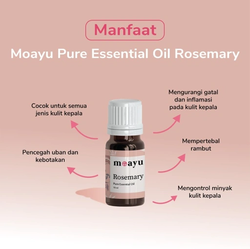 MOAYU Pure Essential Oil Rosemary 10 ml, Aromaterapi, Pengharum Ruangan, Pembersih Udara & Tambahan Hair Treatment