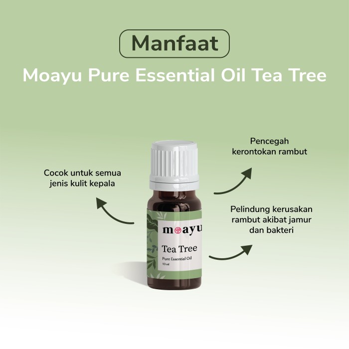MOAYU Pure Essential Oil Tea Tree 10ml, Aromaterapi, Pengharum Ruangan, Pembersih Udara & Tambahan Hair Treatment