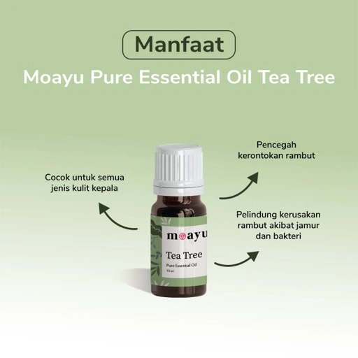 MOAYU Pure Essential Oil Tea Tree 10ml, Aromaterapi, Pengharum Ruangan, Pembersih Udara & Tambahan Hair Treatment