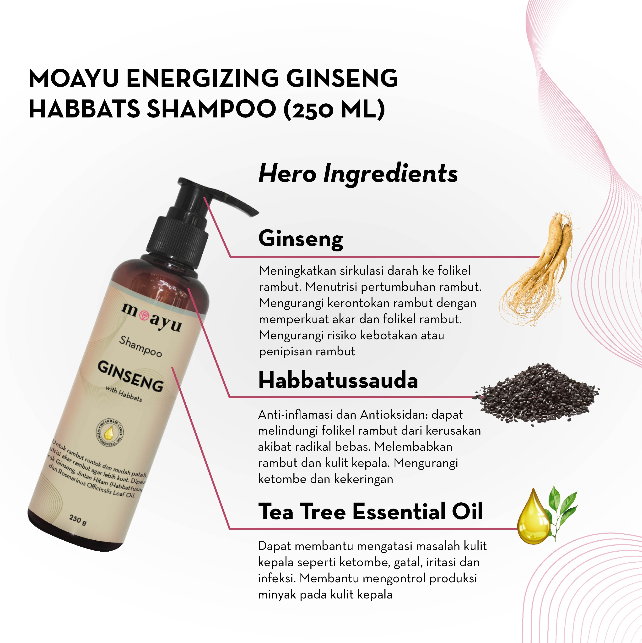 [2PCS] SLS FREE Shampoo Ginseng With Habbats 250ml by MOAYU - Perawatan Rambut Rontok dan Parah