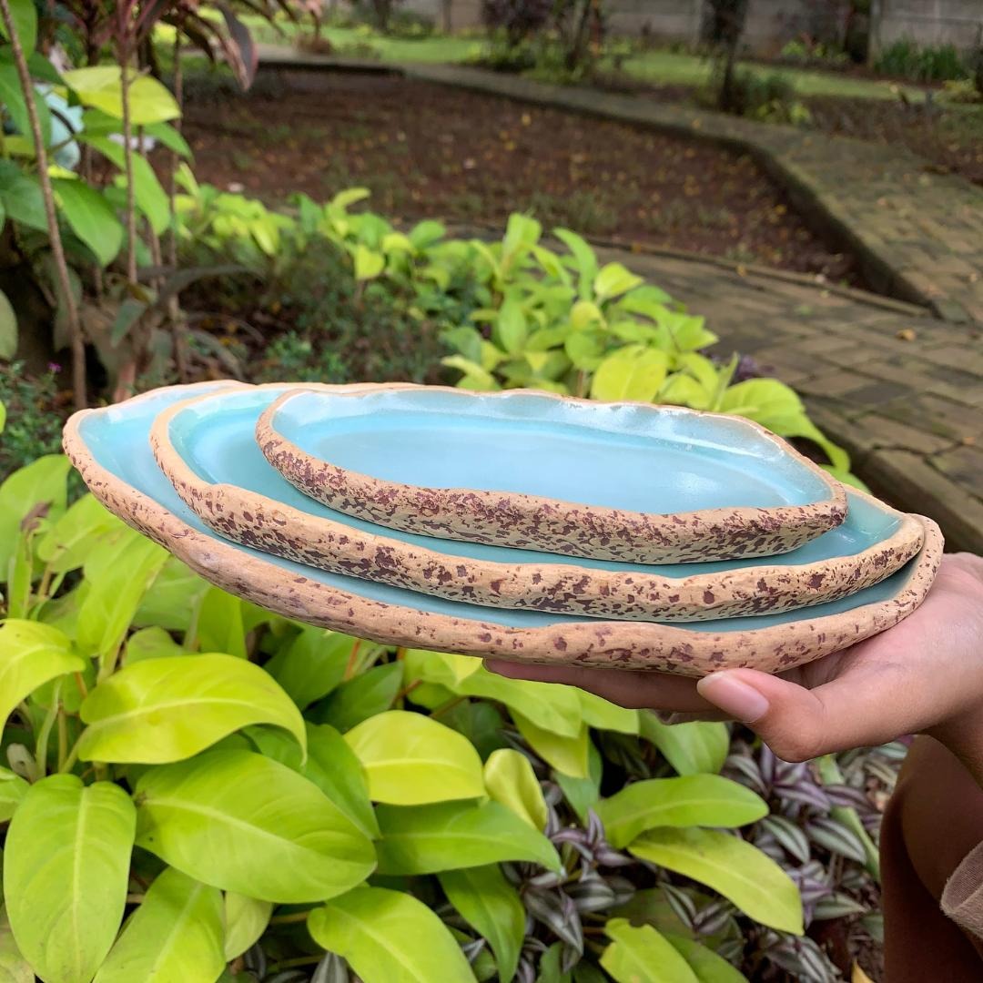 Munzterania Ganseki Oval Plates