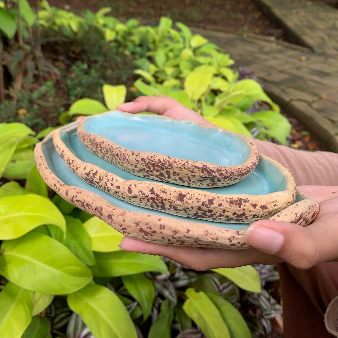 Munzterania Ganseki Oval Plates