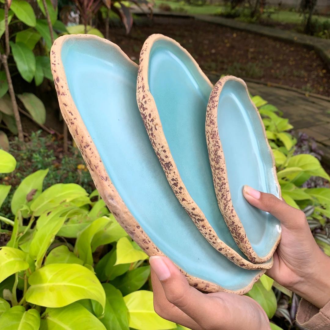Munzterania Ganseki Oval Plates