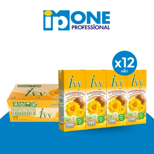 Image of [ยกลัง 12 แพ็ค] ไอวี่ น้ำเก๊กหล่อ 170 มล. แพ็ก 4