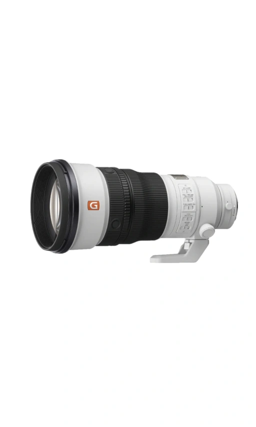 Image of FE 300mm F2.8 GM OSS Telephoto