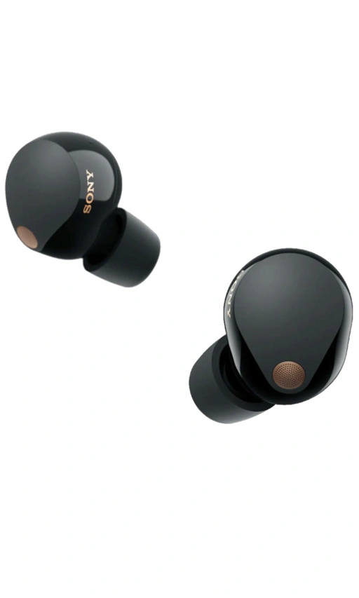 Image of WF-1000XM5 Earbuds