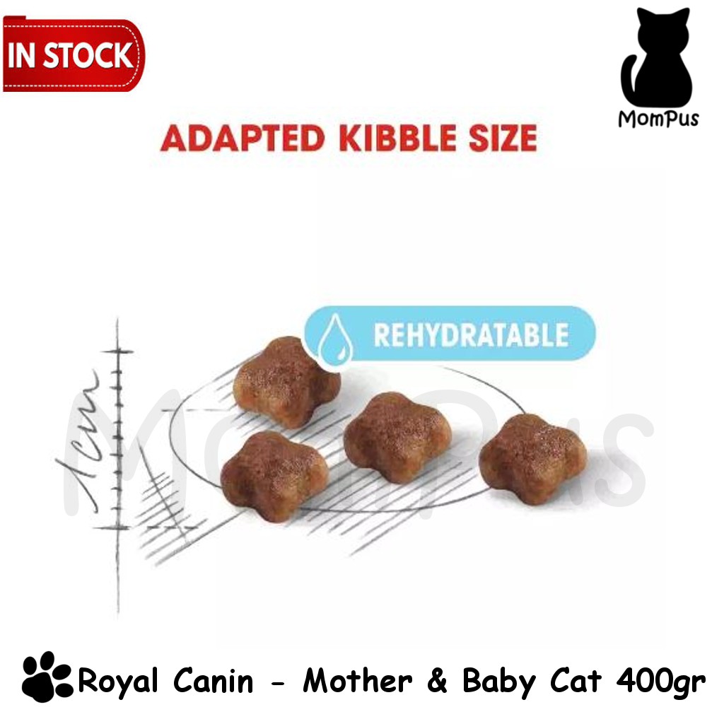 Royal Canin Mother & BabyCat First Age 400gr