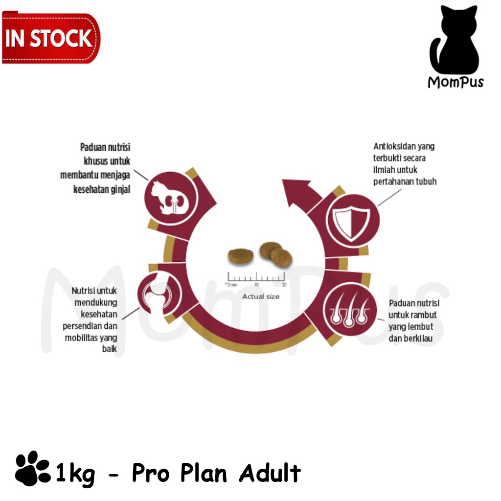 Pro Plan ADULT 1kg REPACK Salmon / Chicken