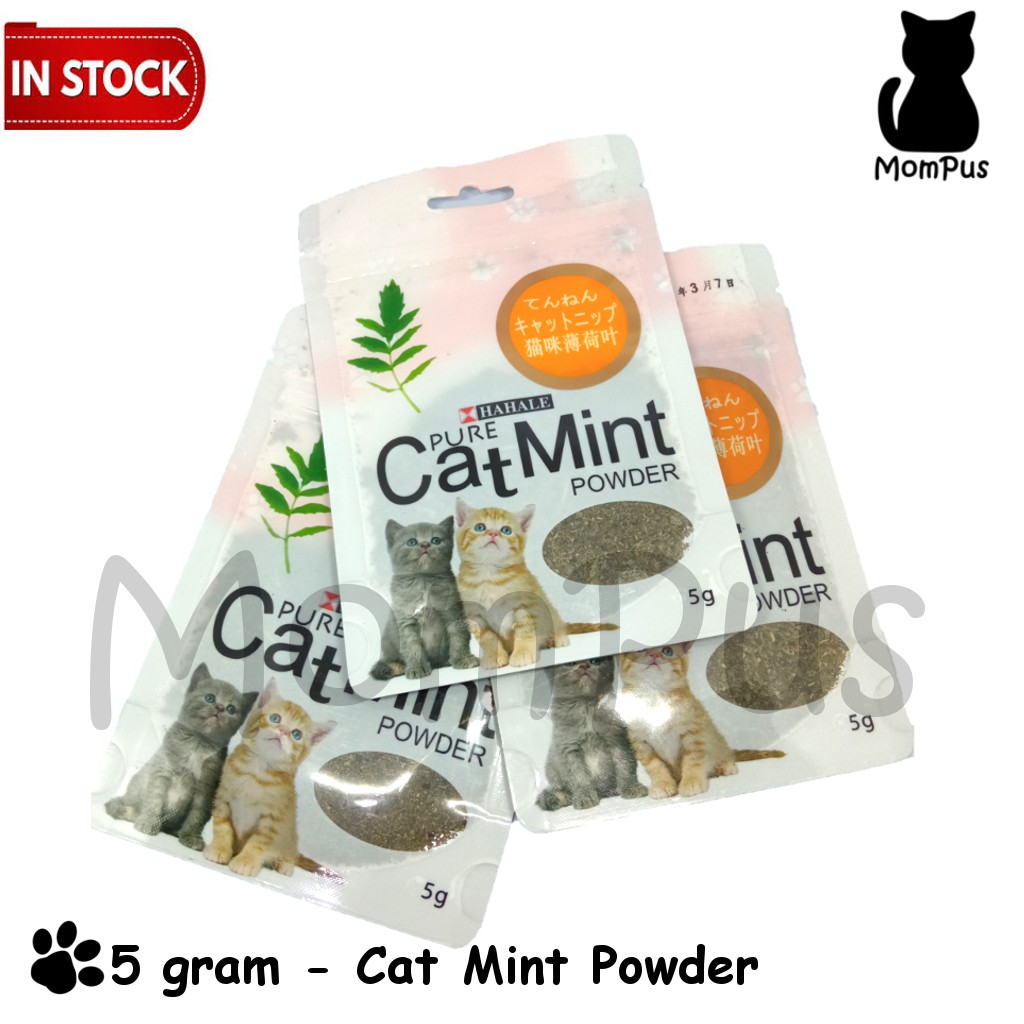 Pure Catnip CAT Mint Powder