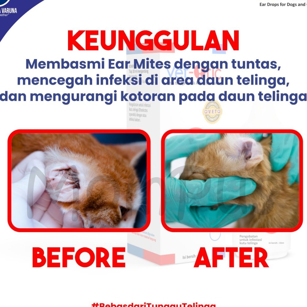 Vet Otic 10mL