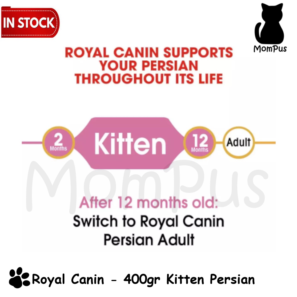 Royal Canin KITTEN Persian 400gr