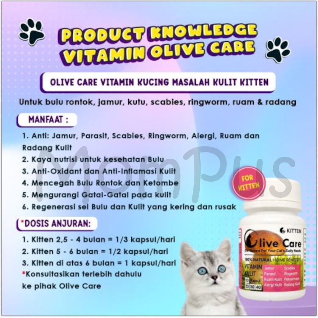 Olive Care 1 Kapsul All Varian